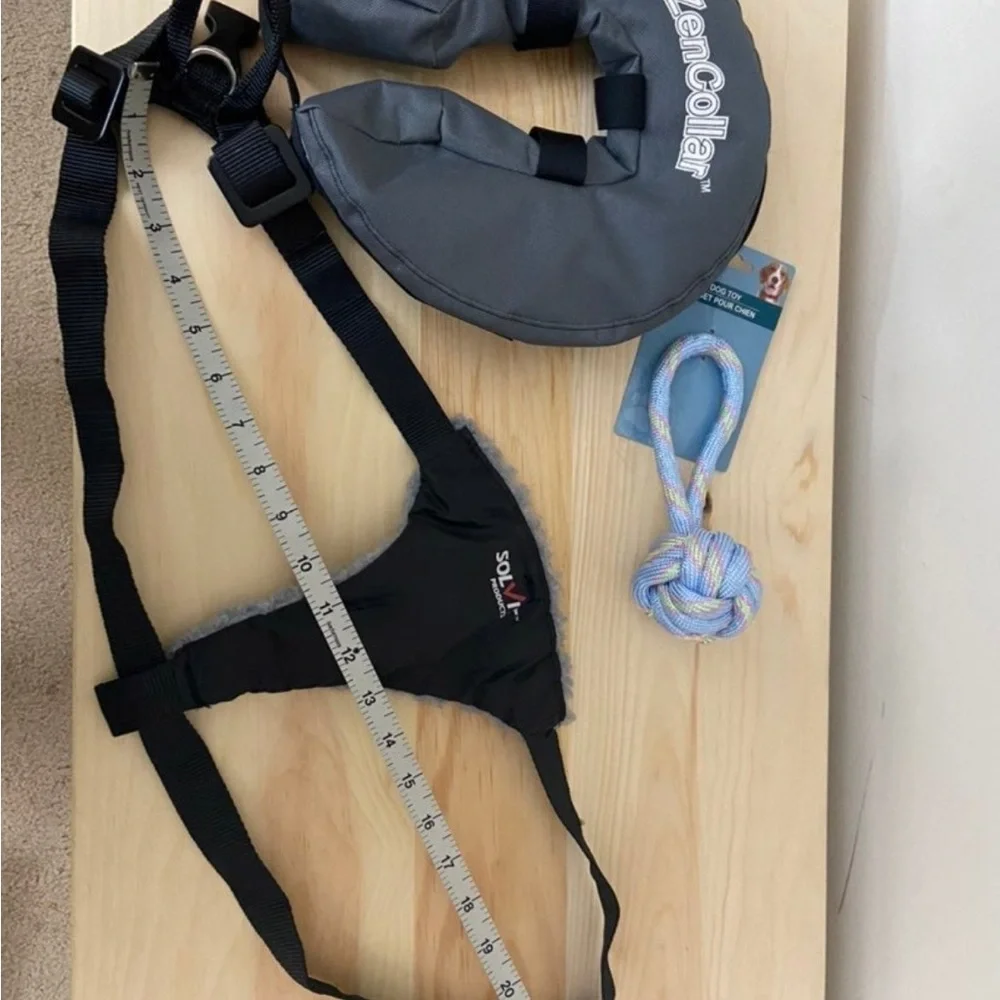6 pc of dog accessories